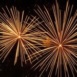 Set 'Em and Forget 'Em: Resolutions for 2024