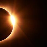 Safetyism Eclipses Common Sense
