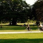 Not All Adults at the Park Are Predators