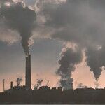 Ditching Net Zero