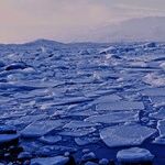 Al Gore's Hype