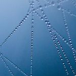 Silk Road