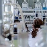 The Red Tape Pandemic