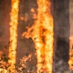 Bad Policies Fuel Fires