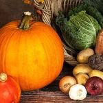 Private Property's Harvest