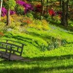 A Different Park