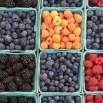 The Food Insecurity Lie