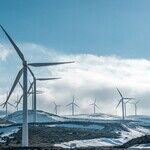 The Renewable Scam