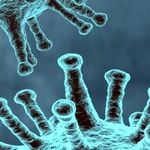 We Need a 9/11 Commission to Probe Coronavirus