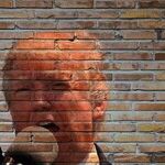 Trump Isn't the Only Big Lie Grifter