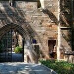 The Not-So-Innocent 'Damsel in Distress' on Campus