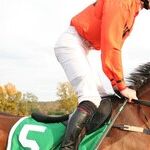 Derby Loser Offers a Model for Angry Democrats