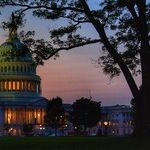 Democracy, Still