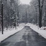 A Mind of Winter