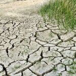 Climate Change: Evidence Indicates Hiatus