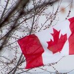 Trump Wrong to Dump on Canada