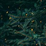 A Christmas Message: There's No Jesus in 'Christian Nationalism'