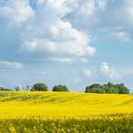 My Message to Billionaires: Money is Like Manure