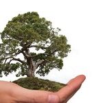 How to Arm Nature Against Corporate Profiteers