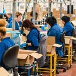 Trump's Anti-Labor Department