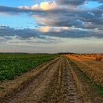 The AgriCULTURE Attitude