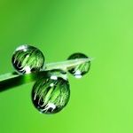 Give Nature a Right to Self-Defense