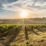 Doing Good Business in the Food Economy