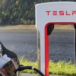 Take a Whiff of Elon Musk's Ecological Paradise