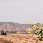 A New Road to Farm, Food and Climate Progress