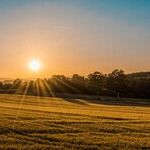 Rebranding CAFOs as PFOs Is Corporate BS