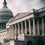 An Anti-Abortion Creep: Worse Than a Snake in the Grass