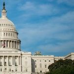 Marjorie Taylor Greene Embodies the Inanity of Populism