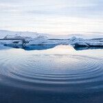 With Arctic Drilling Ban, Obama Continues His Historic Abuse of Power