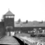 Stop Belittling The Holocaust With Your Stupid Nazi Analogies