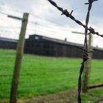 Suddenly, Democrats Are Offended by Nazi Analogies