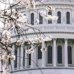 Jan. 6 Was Deplorable. It Was Not a Coup