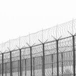 Easing Prison Overcrowding: Who Wins Early Release and Who Doesn't?