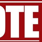 Voting Vigilance Matters