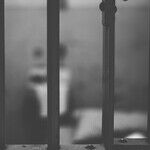 More Presidential Pardons for People, Please