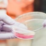Science and Making Babies: Buyer Beware
