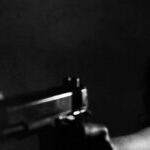 We Are a Frightened (and Heavily Armed) Nation