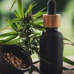 Let's Get It Together on Marijuana Laws