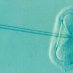 Science and Making Babies: Buyer Beware
