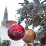This Season, Spread the Joy