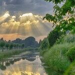 Being Good Stewards of Our Earth