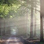 Do Something Unusual: Be for Bipartisan Actions