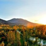 Your Mission: Learn To Live