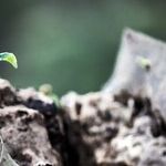 Focusing on Creation