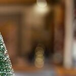 The Smell of Maple and Light in the Darkness