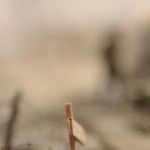 How To Fight a War, American Style